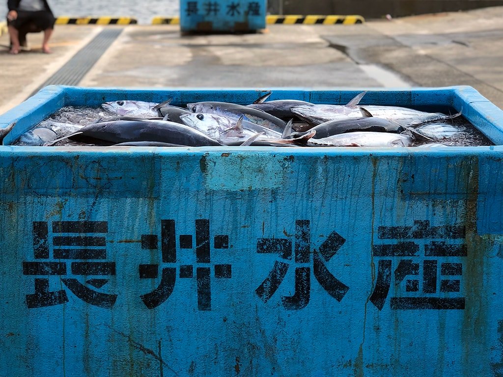 長井水産